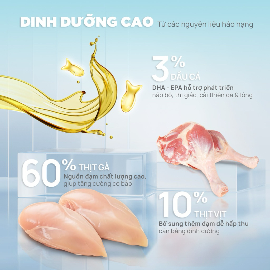Hạt Cho Mèo PETQ DONUT Từ Sữa Dê & Gà, Đạm Cao Không Độn Ngũ Cốc