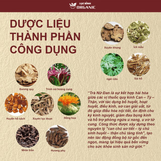 Trà Nữ Đan - Ankhangorganic - 11 vị thảo mộc điều kinh Cân Bằng Cơ Thể ôn định theo chu kỳ - Bich 30 túi lọc