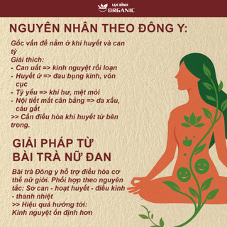 Trà Nữ Đan - Ankhangorganic - 11 vị thảo mộc điều kinh Cân Bằng Cơ Thể ôn định theo chu kỳ - Bich 30 túi lọc