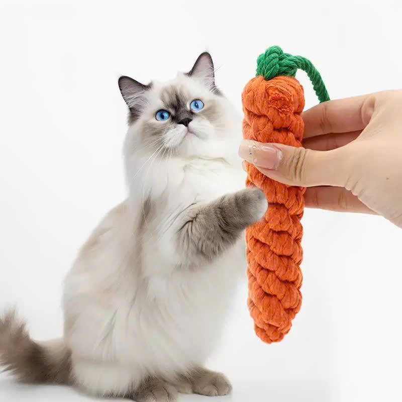 Đồ Chơi Cho Chó Gặm Sạch Răng Bằng Dây Thừng