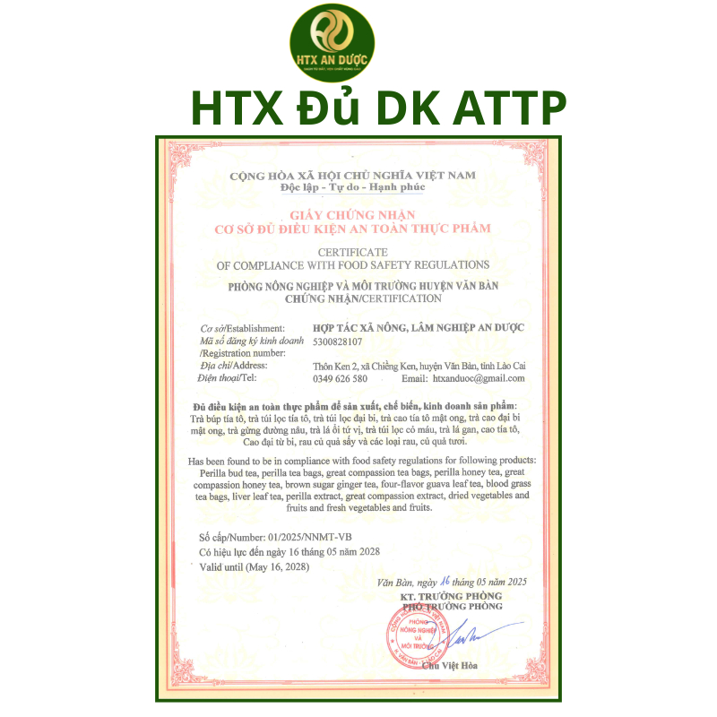 TRÀ TÚI LỌC ĐẠI BI, TÍA TÔ