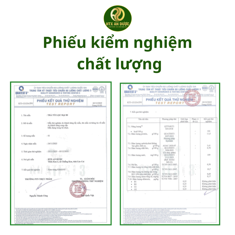 TRÀ TÚI LỌC ĐẠI BI, TÍA TÔ
