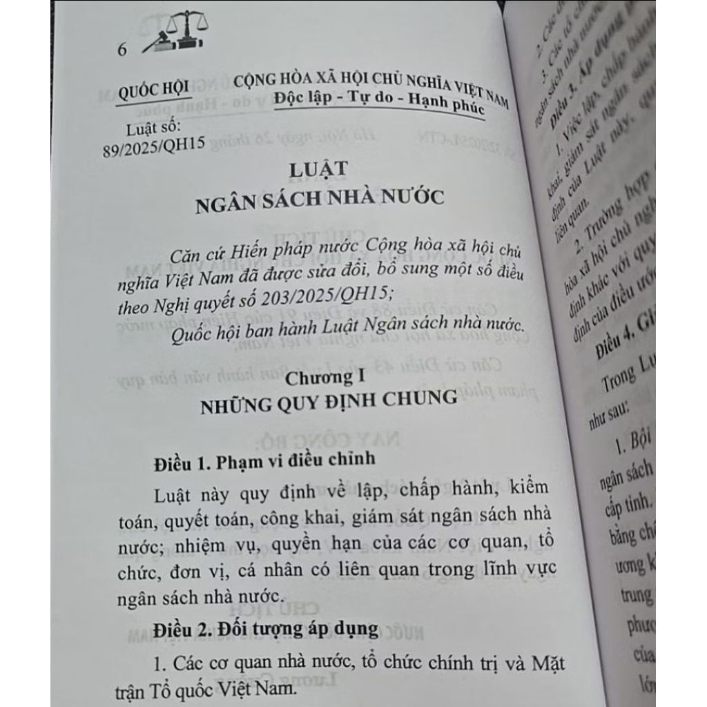 Sách - Luật ngân sách nhà nước (NXB Lao Động)