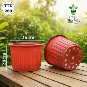 Chậu Nhựa Nâu TTK260 Trồng Cây, Trồng Hoa, Decor,… [26x20]