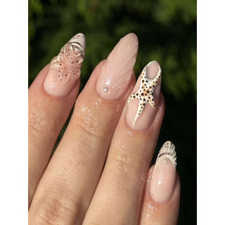 nailbox thiết kế