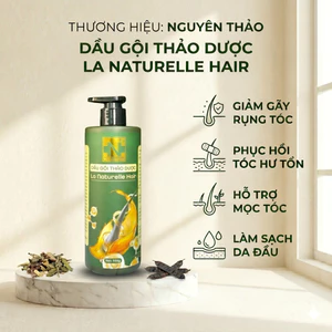 Dầu Gội Thảo Dược Sạch Gàu, Giảm Rụng, Kích Mọc Tóc,Phục Hồi Nguyên Thảo 500ml Chính Hãng