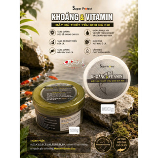 Khoáng & Vitamin tổng hợp dành cho cá Koi và cá cảnh, tăng cường hệ miễn dịch, giảm stress - Túi 1KG - Hủ 300g