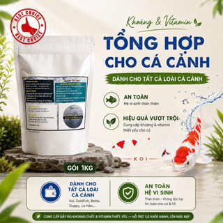 Khoáng & Vitamin tổng hợp dành cho cá Koi và cá cảnh, tăng cường hệ miễn dịch, giảm stress - Túi 1KG - Hủ 300g