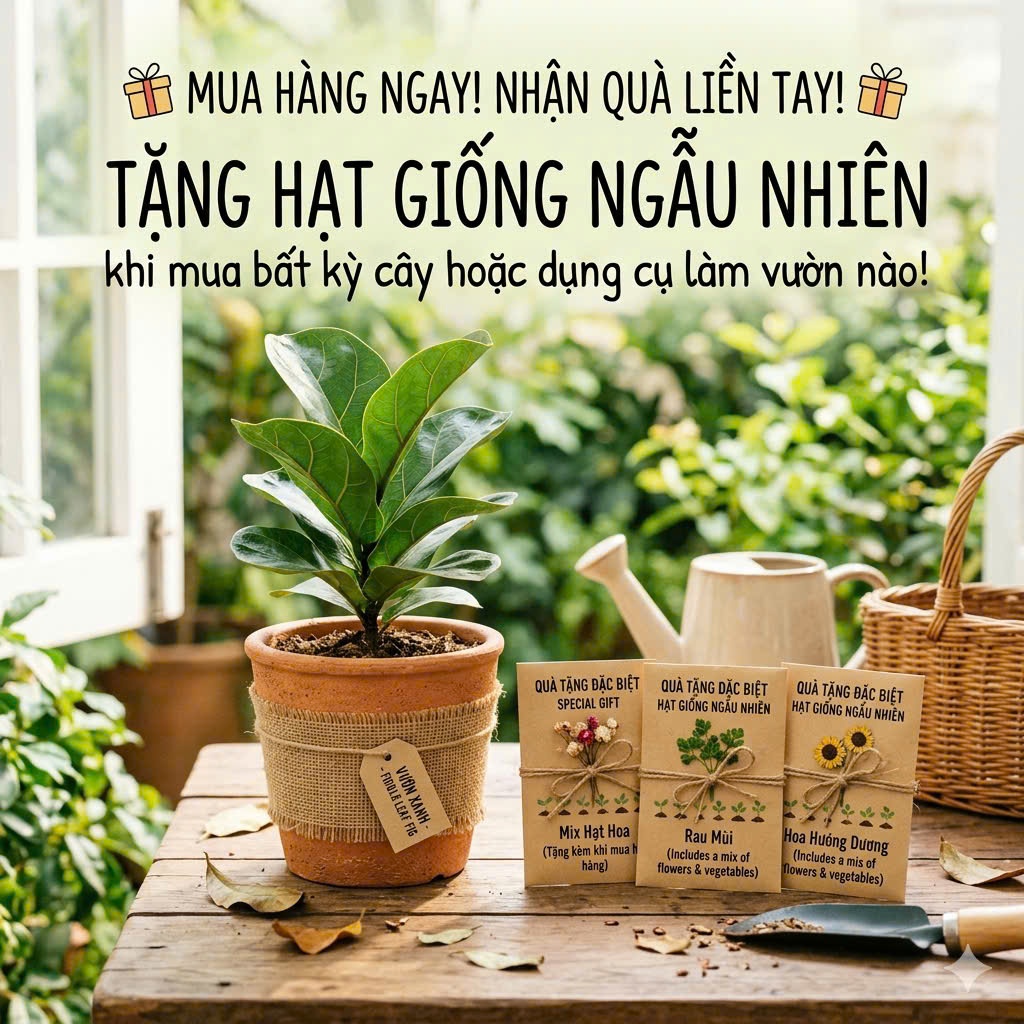 Quà Tặng tặng hạt giống ngẫu nhiên Phân Bón NPK – Mua 5 Sản Phẩm Bất Kỳ Tặng Ngay – Hàng Tặng Không Bán