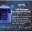 LPP Collagen phục hồi tóc thô xơ