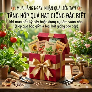🎁 Quà Tặng HẠT GIỐNG NGẪN NHIÊN Phân Bón NPK Phục Hồi Cây – Tri Ân Khách Hàng