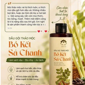Dầu gội bồ kết giúp sạch tóc, giảm gàu, ngăn rụng tóc