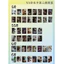 CARD OFFICIAL 5.0 ĐOÀN LÀM PHIM NGHỊCH ÁI (REVENGED LOVE) PACK XANH