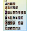 CARD OFFICIAL 5.0 ĐOÀN LÀM PHIM NGHỊCH ÁI (REVENGED LOVE) PACK XANH