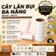 Cây lăn bụi giường, quần áo, chăn màn, lăn bụi lông thú cưng có lõi thay thế 10cm