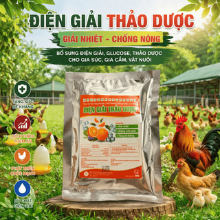Mua 2 Tặng 1 Điện Giai Thảo Dược, Chống Nắng Nóng, Bổ Sung Năng Lượng, Giải Nhiệt Cho Vật Nuôi(100g)