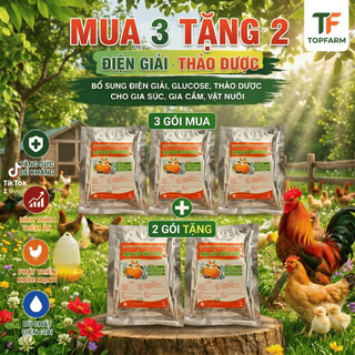 Mua 2 Tặng 1 Điện Giai Thảo Dược, Chống Nắng Nóng, Bổ Sung Năng Lượng, Giải Nhiệt Cho Vật Nuôi(100g)