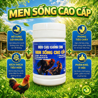 Mua 2 tặng 1 men sống cao cấp 500g bổ sung lợi khuẩn đường ruột kích thích tiêu hóa, phòng tiêu chảy