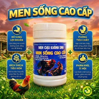 Mua 2 tặng 1 men sống cao cấp 500g bổ sung lợi khuẩn đường ruột kích thích tiêu hóa, phòng tiêu chảy
