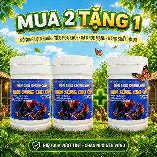 Mua 2 tặng 1 men sống cao cấp 500g bổ sung lợi khuẩn đường ruột kích thích tiêu hóa, phòng tiêu chảy