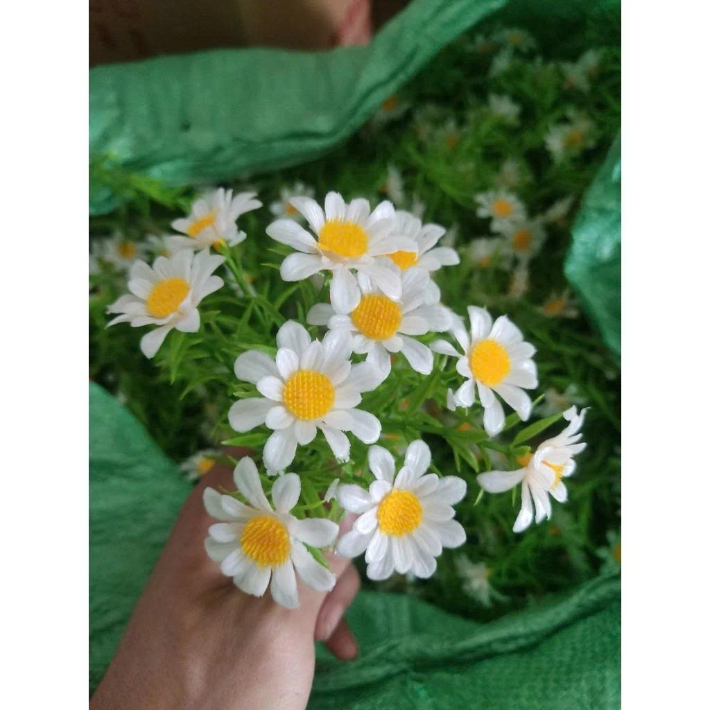 100g cỏ điểm đã bỏ gọng,điểm hoa sáp,hoa lụa,oản siêu xinh