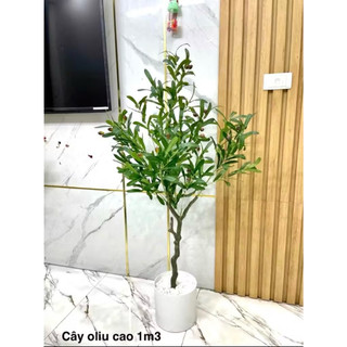 CÂY GIẢ- Cây oliu nhân tạo cao 1m3-1m5-1m7 cây giả trang trí quán cafe văn phòng làm việc và nhà cửa