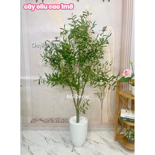 CÂY GIẢ- Cây oliu nhân tạo cao 1m3-1m5-1m7 cây giả trang trí quán cafe văn phòng làm việc và nhà cửa