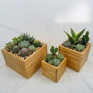 Hộp Gỗ Decor - ELLA I MY VIETHOME I Nhiều Kích Thước,Cắm Hoa, Đựng Đồ Dụng Cụ, Trồng Sen Đá...