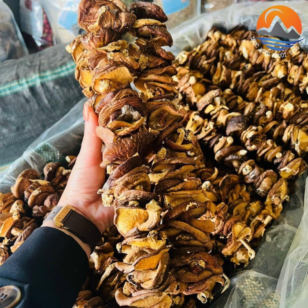 Nấm hương rừng khô (rất thơm) - Sạch - Thơm ngon - Bổ dưỡng - Nấm hương Tây Bắc [GIÁ TỐT NHẤT]