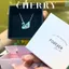 Dây chuyền thiên nga titan mặt đá nhiều màu CHERRY JEWELRY, Vòng cổ bạc nữ Swan cao cấp không gỉ