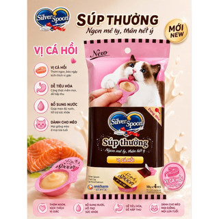🐱Túi Súp Thưởng Silver Spoon Dạng Thìa Cho Mèo 10Gx4🥄