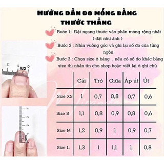 nailbox thiết kế