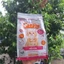 Thức Ăn Hạt Cho Mèo Con Truoo Catpy 1,5kg - Giảm Mùi Chất Thải - Tăng Miễn Dịch - Phát Triển Trí Não