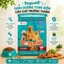Combo 3 Túi Thức Ăn Hạt Cho Chó Dogsmile 2kg - Mượt Lông - Giảm Mùi Chất Thải - Tăng Miễn Dịch