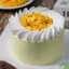 Bột whipping không đường 500g/Uống Là Mê