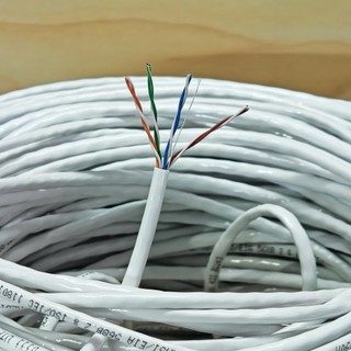Combo 50M đến 100M Dây Mạng LAN Cat5e Bấm Sẵn 2 Đầu RJ45, Tốc Độ 1Gbps Phù hợp Chơi GAME, WIFI