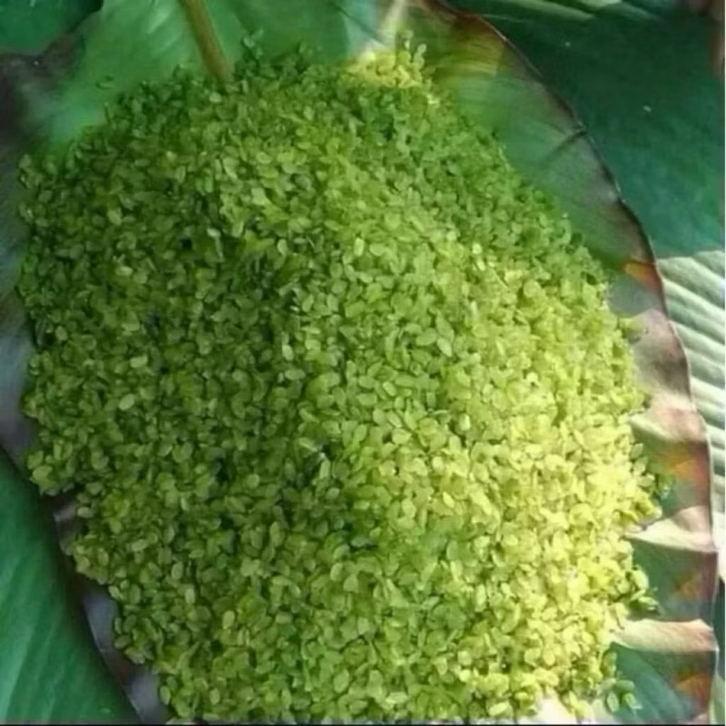 (1kg) Hạt cốm  nấu xôi, nấu chè loại 1