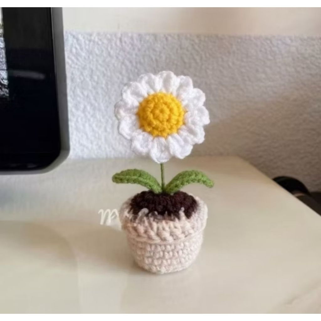 Chậu Hoa Cúc Daisy Để Bàn , Chậu Hoa Len Handmade