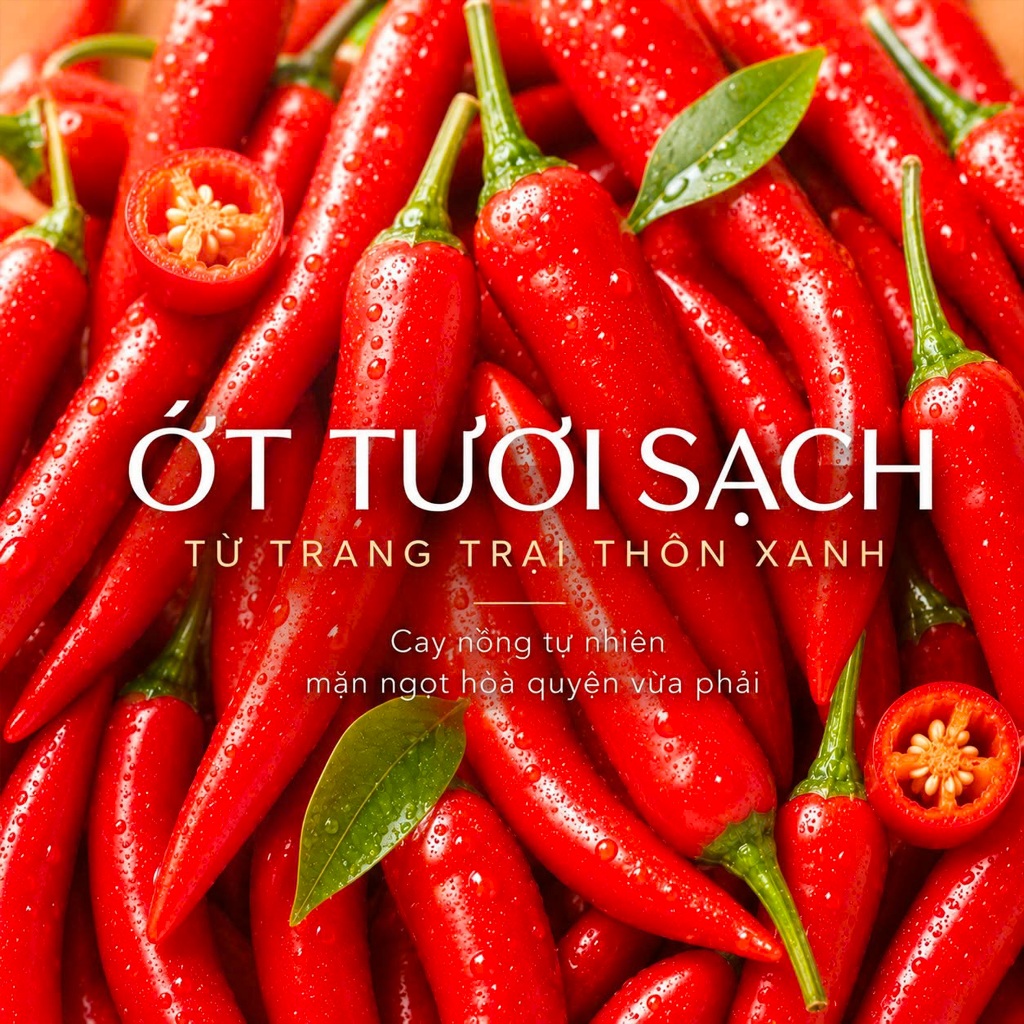 [Chai 2.2Kg] Tương ớt Thôn Xanh Farm ít cay ít mặn phù hợp cả trẻ em chấm gì cũng ngon