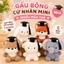 Gấu Bông Cử Nhân Nhiều Mẫu Thú - Quà Tặng Lễ Tốt Nghiệp Cao Cấp, Mềm Mịn Giá Rẻ