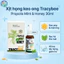 Xịt họng keo ong Tracybee Propolis Mint & Honey 30ml vị bạc hà hỗ trợ dịu họng, giảm ho