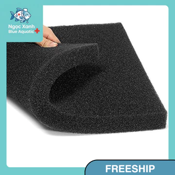 Bông Mút Lọc Đen 50x50x2cm 50x50x5cm Vật Liệu Lọc Hồ Cá Giữ Cặn Lọc Nước Bể Cá Cao Cấp