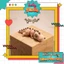 Móc khóa khớp nối Khủng Long Dinosaurs Flexi - Nhai Nha Nhò - đồ chơi in 3d nhiều màu - Holymesh