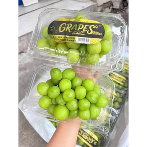 < HỎA TỐC > < JENNY FRUIT > Nho kẹo thơm mùi kẹo hộp 500gr