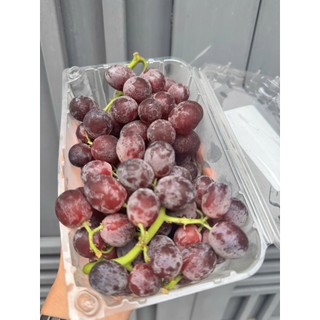 < HỎA TỐC > < JENNY FRUIT >  Nho kẹo thơm mùi kẹo  hộp 500gr