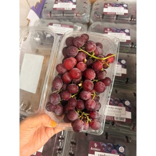 < HỎA TỐC > < JENNY FRUIT >  Nho kẹo thơm mùi kẹo  hộp 500gr