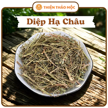 1kg Diệp Hạ Châu(Cây Chó Đẻ) Thiện Thảo Mộc (Khô Sạch, Mới) -Hỗ Trợ Gan, Hạ Mỡ, Thông Huyết, Sáng Da