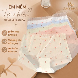 Combo 5 Quần Lót Nữ Su Thạch Tàng Hình - Set 5 Quần Chip Nữ Chất Siêu Mát, Mềm Mịn AMYBRA L1027