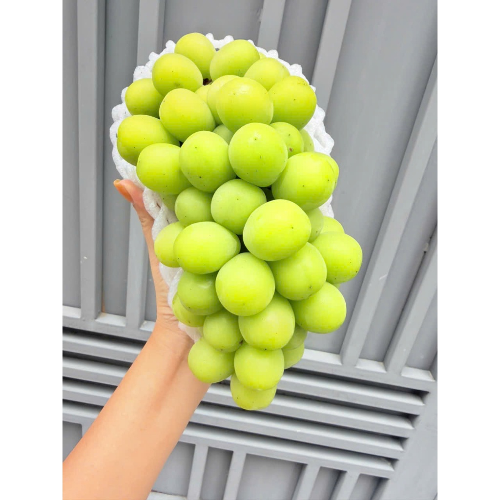 ( GIAO NHANH HCM ) ( JENNY FRUIT )Khay trái cây quà tặng nho cherry cực sang