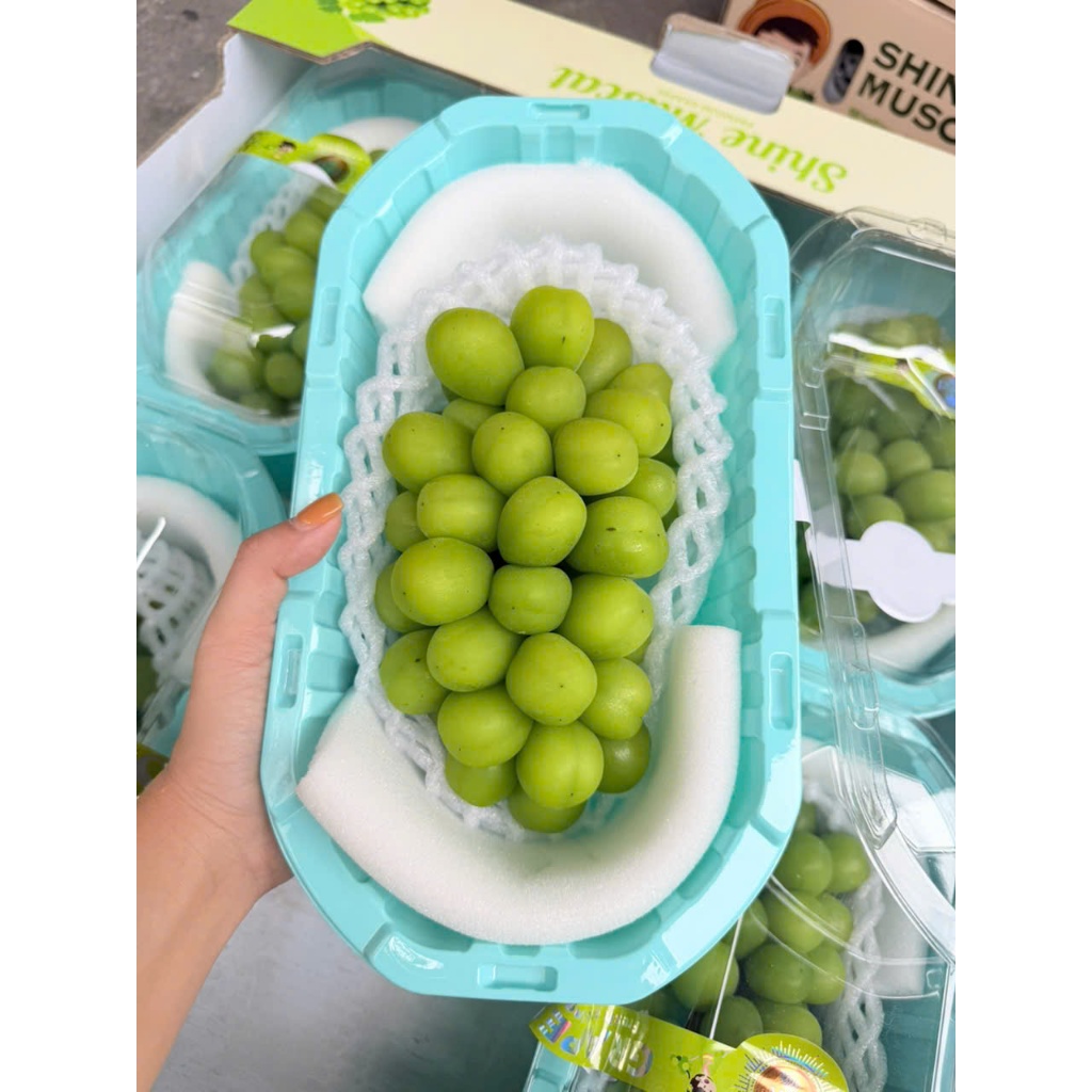 [ HỎA TỐC ] NHO sữa hộp lun chùm giá tốt ngọt thơm lắm ạ giá bán không lợi nhuận
